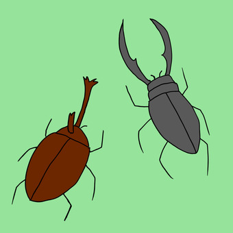 昆虫 昆虫,虫,カブトムシ,クワガタ,ムシのイラスト素材