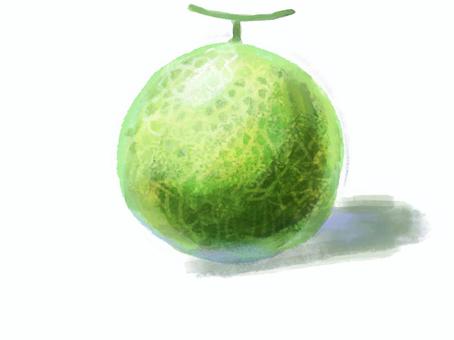 スケッチ風メロンのイラスト メロン,melon,食べ物,フルーツ,一玉メロンのイラスト素材