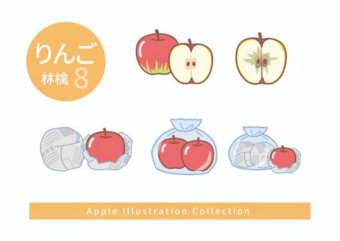りんごのイラストセット8 りんごのイラストセット8 りんご,半分,丸ごと,新聞紙,包む,ナイロン袋,保存,傷む,腐る,芯のイラスト素材