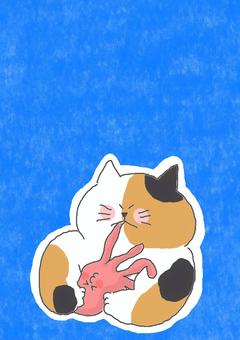 タコを食べる三毛猫ちゃん タコを食べる三毛猫ちゃん かわいい,タコ,たべもの,おいしい,うまい,食べる,引っ張る,噛む,びっくり,衝撃のイラスト素材