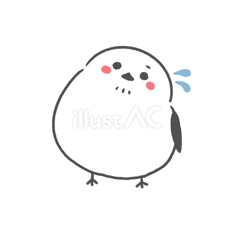 焦るシマエナガ シマエナガ,鳥,野鳥のイラスト素材