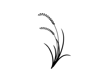稲穂のシルエット 稲,穂,米,植物,秋,穀物,食べ物,シルエットのイラスト素材