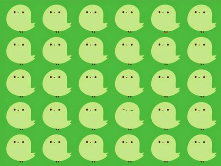 ことりいっぱいパターン? ことりいっぱいパターン? 小鳥,鳥,ひよこ,かわいい,間違い探し,ラッピング,包装紙,背景,パターン,柄のイラスト素材