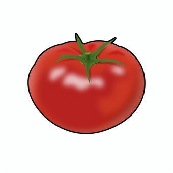 トマトのリアルテイストイラスト トマトのリアルテイストイラスト トマト,野菜,夏野菜,リコピン,栄養,食育,献立,レシピ,メニュー,健康のイラスト素材