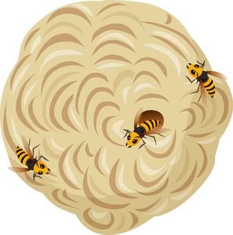 Illustration, colméia, vespa, ninho, 