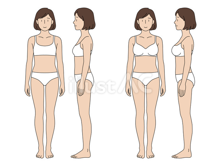 乳房サイズによる体型の違い 女性,全身,サイズのイラスト素材