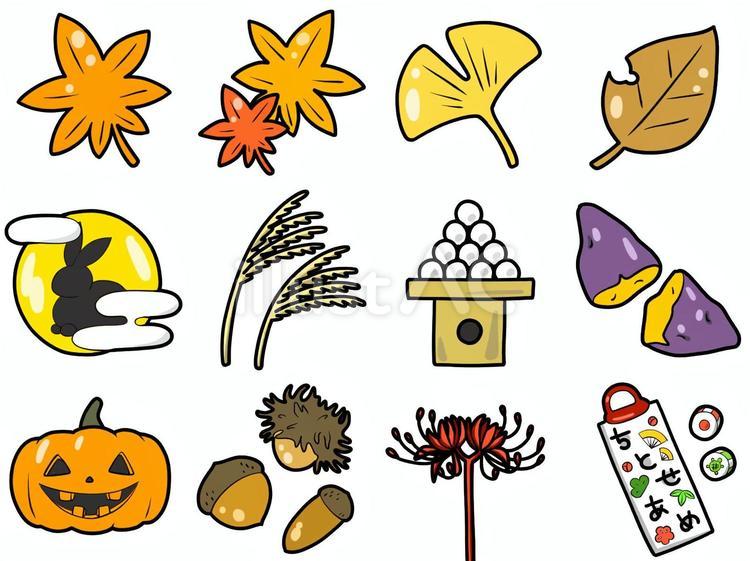 Free Vectors | Autumn symbols set