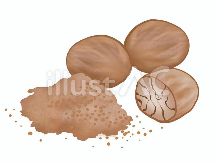 ナツメグ　 ナツメグ,スパイス,調味料のイラスト素材