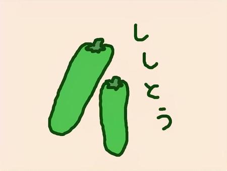 ししとう ししとう,夏野菜,とれたて,新鮮,文字のイラスト素材