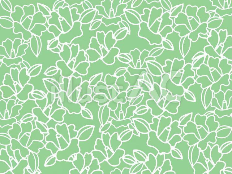 椿の花の背景素材01/緑 椿,花,背景のイラスト素材