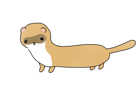 Illustration, una comadreja, alimañas, campo, 