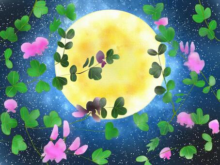 Hagi and moon, JPG Hagi and moon, a horn, flower, full moon, JPG