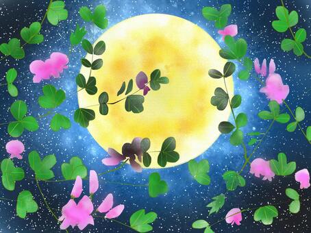 Hagi and moon, a horn, flower, full moon, JPG