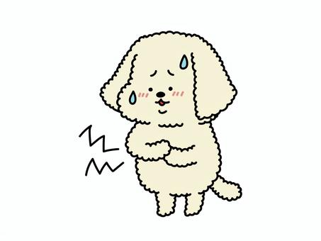 お腹が不調な犬さん いぬ,腹痛,胃痛,胃腸炎,胃腸風邪,食あたり,食中毒,下痢,便秘,生理痛のイラスト素材