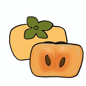 柿 柿 柿,秋,果物,断面,種,手描き,ワンポイントのイラスト素材