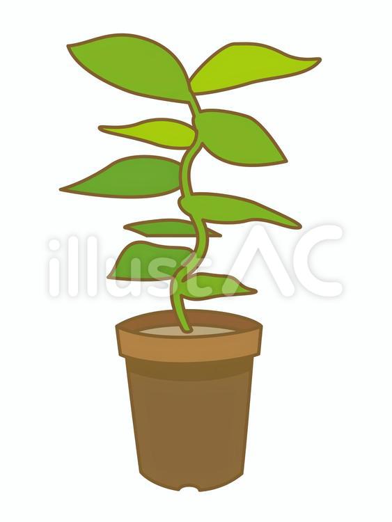 観葉植物1_暗め鉢_主線あり 観葉植物,鉢植え,インテリアのイラスト素材