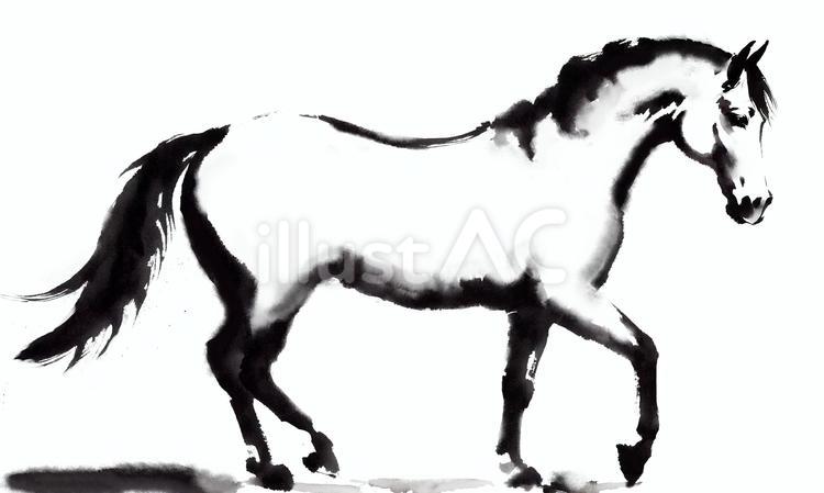 流麗な墨絵の馬イラスト - No: 24775230｜無料イラスト・フリー