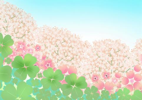 Color illustration of clover and cherry tree, JPG Color illustration of clover and cherry tree, clover, cherry blossoms, wood, JPG