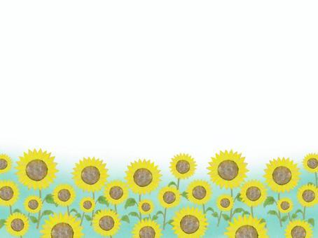 Sunflower background blue, , JPG and PNG