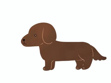シンプルなダックスフント(濃いめ) シンプルなダックスフント(濃いめ) ダックスフント,小型犬,愛玩犬,挿絵,イラスト,ミニチュアダックスフント,犬,手書き,手描き,ペットのイラスト素材