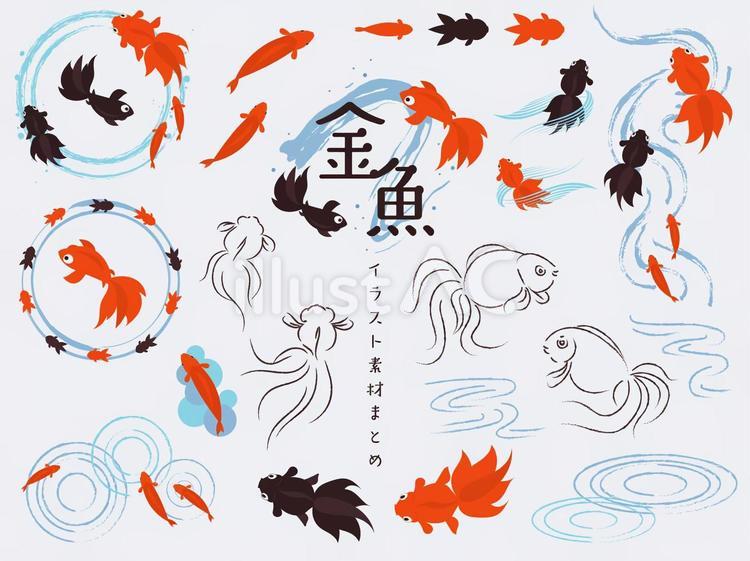 金魚　イラスト素材まとめ 金魚,夏,生き物のイラスト素材