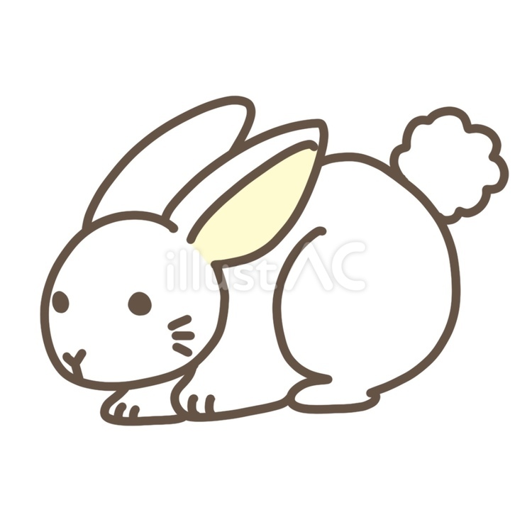 うさぎ（白） うさぎ,兎,白のイラスト素材