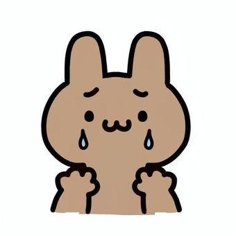 うろたえるうさぎ うさぎ,前足,顔,ひげ,耳,正面,シンプル,キャラクター,涙,立つのイラスト素材