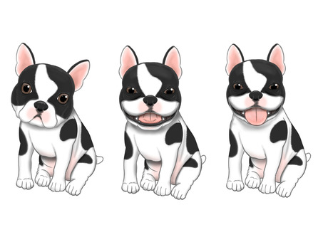 フレンチブルドッグの全身 犬,フレンチブルドッグ,ブルドッグ,犬の体,動物のイラスト素材