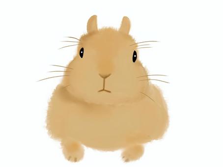 2023年賀状うさぎ