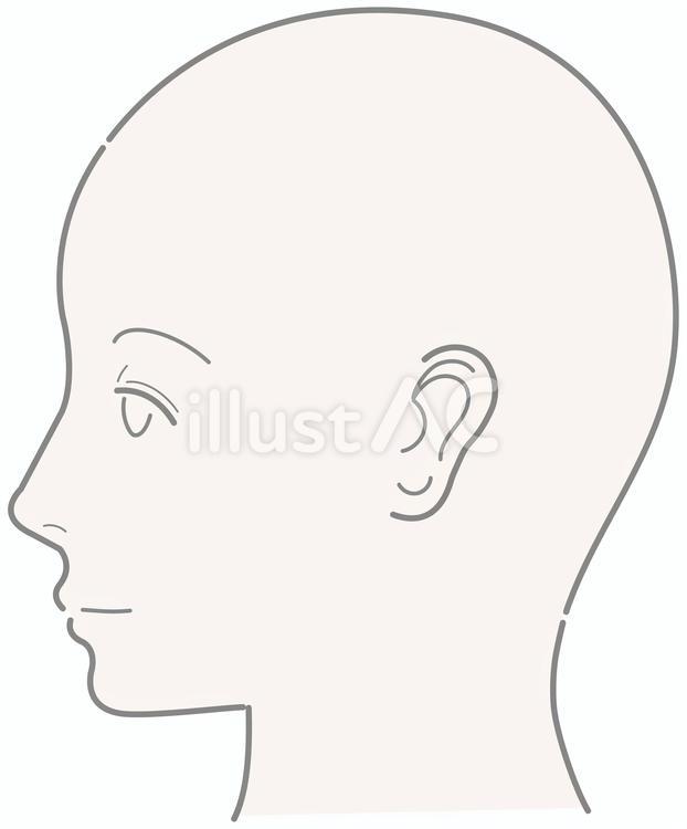 顔　カラー線画　横顔 人,顔,顔面のイラスト素材
