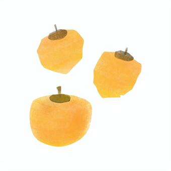干し柿作り（剥いた柿 果物,柿,冬,旬の食べ物,干し柿のイラスト素材