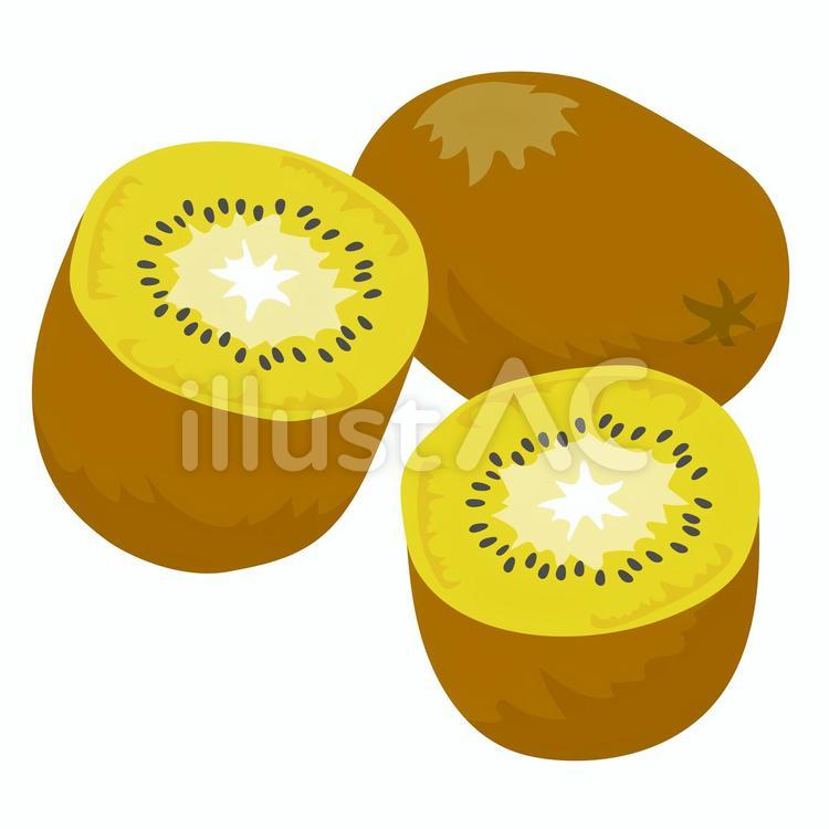 ゴールドキウイイラスト 無料イラストなら イラストac