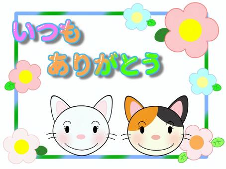 ありがとう猫 三毛猫,白猫,感謝,ありがとう,花のイラスト素材