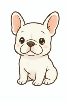 可愛いフレンチブルドッグ