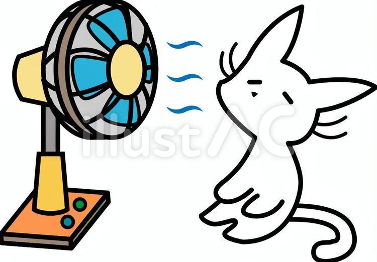 扇風機で涼む　白ねこ 扇風機,涼む,夏のイラスト素材