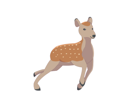ニホンジカ(走る) ニホンジカ(走る) ニホンジカ,鹿,動物,奈良,走る,主線なしのイラスト素材