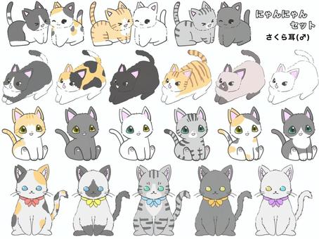 にゃんにゃんセット（さくら耳♂） 猫,地域猫,耳カット,さくら耳,雄,白,黒,三毛猫,シャム猫,茶トラのイラスト素材