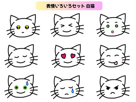 かわいい猫の顔表情いろいろセット＿白 猫,顔,表情,クエッション,？,わからない,理解不能,はてな,笑顔,驚くのイラスト素材