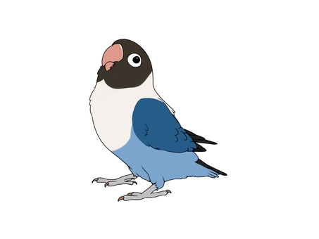 ボタンインコ・ブルーボタン ボタンインコ・ブルーボタン 鳥,インコ,かわいい,ペット,手乗り,フリー,素材,カラフル,ブルーボタン,ブルーのイラスト素材