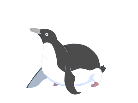 アデリーペンギン（四つん這い・主線なし） ペンギン,アデリーペンギン,鳥,動物,南極,四つん這い,主線なしのイラスト素材