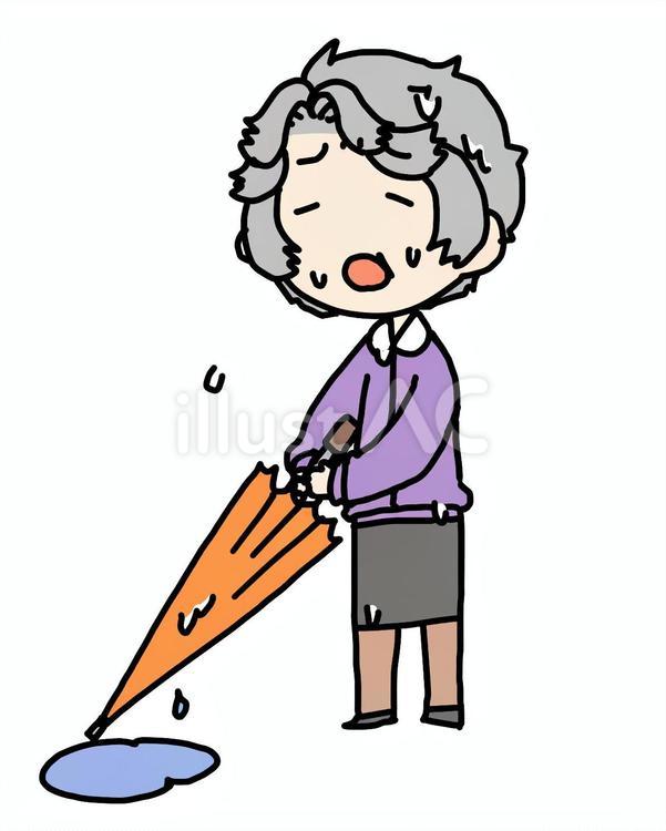 傘を畳む濡れたおばあさん おばあさん,傘,濡れたのイラスト素材