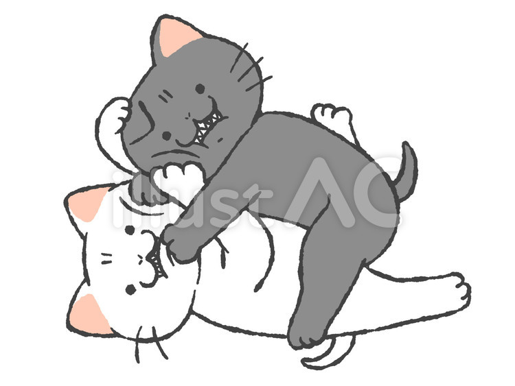 子猫の兄弟げんか 猫,ネコ,手描きのイラスト素材