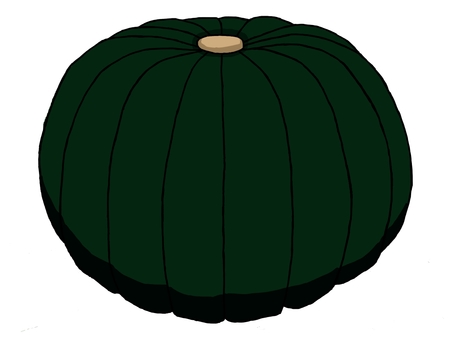 カボチャ カボチャ,実,植物,食べ物,秋,緑,一個,食料,食物,農作物のイラスト素材