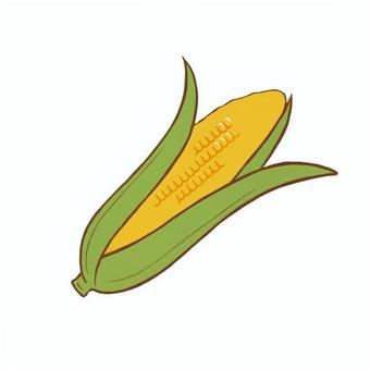 トウモロコシ トウモロコシ,穀物,飼料,食べ物,食材,シンプル,手描き,手書き,イラスト,カットのイラスト素材