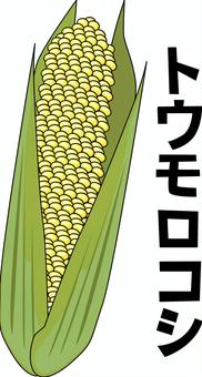 トウモロコシ　 トウモロコシ,粒,葉,剥く,野菜,栄養,新選,食材,カタカナ,線画のイラスト素材