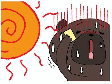 暑さに耐える熊 熊,汗,リアクション,猛暑,太陽,限界,直射,日光,イメージ,お知らせ用のイラスト素材