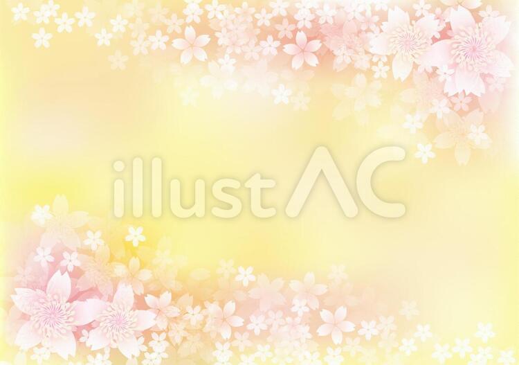 桜花爛漫472 花,桜,春のイラスト素材