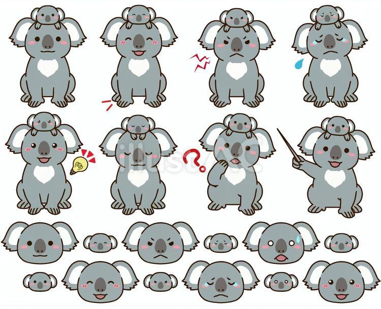 コアラのイラストセット　占い用動物⑦  コアラ,動物,占いのイラスト素材
