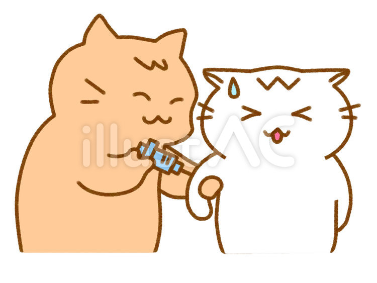 注射　予防接種2 ねこ,猫,茶トラのイラスト素材
