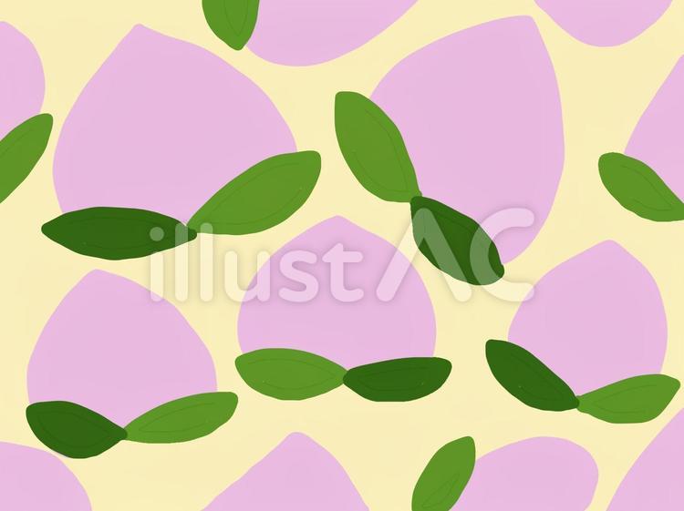 peachのイラスト　手書き 桃,白桃,黄桃のイラスト素材